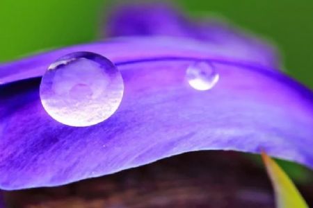 季羡林:走运与倒霉 季羡林:走运与倒霉