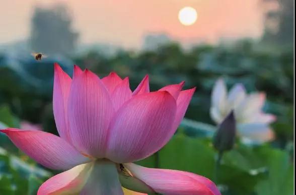 看你的内心世界,就能看到你的来生 看你的内心世界,就能看到你的来生