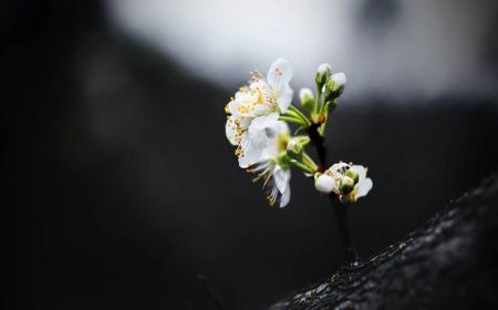 �̶̽���һ�澵��ǰ���������Ե