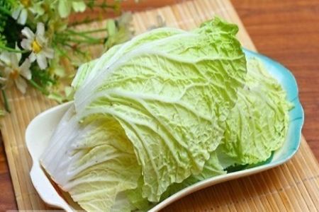 ��ײ���������ʵ���Ŷ���ҩ��Ҫ������