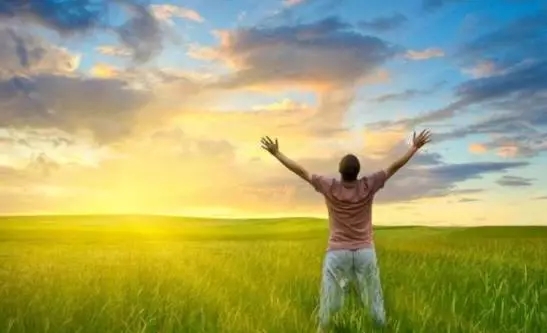 ��ѧ�Ҿ��˷��֣���ʳ�������������ϵͳ