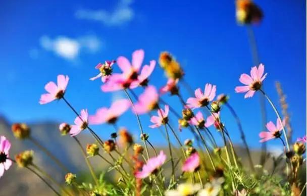 Ī����Ե��������������Ľ��