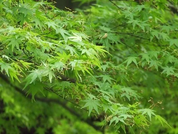 记住别人的好,修的是自己的德! 记住别人的好,修的是自己的德!