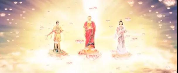 愿所有佛弟子都能看到这殊胜庄严的极乐世界 愿所有佛弟子都能看到这殊胜庄严的极乐世界