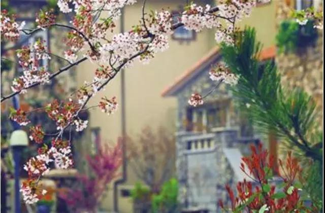 千万不要看轻自己~无论如何,自己一定要努力精进去做! 千万不要看轻自己~无论如何,自己一定要努力精进去做!