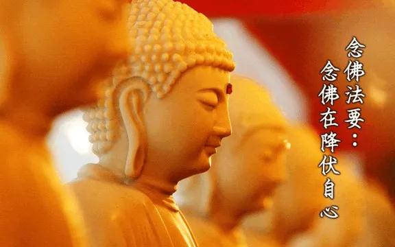 ���������ס�����