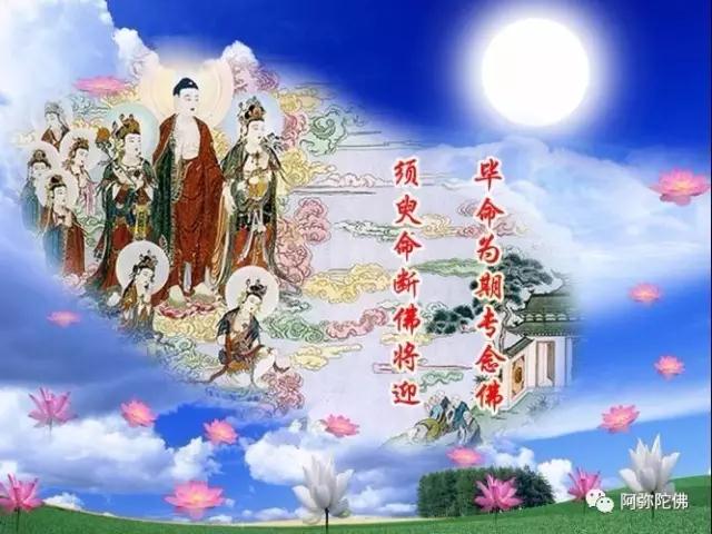 你不能再刺激生死业力了,要赶快放下! 你不能再刺激生死业力了,要赶快放下!