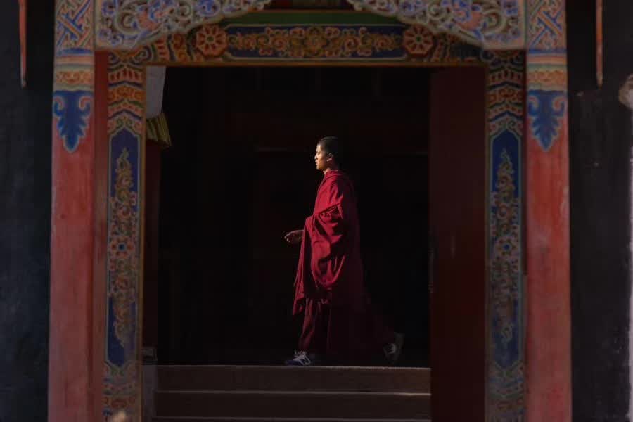 ѧ��Ҫѧ�ɡ��¼ҹ��ˡ�