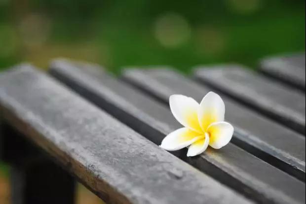 ���ߵ���_���ߵ���