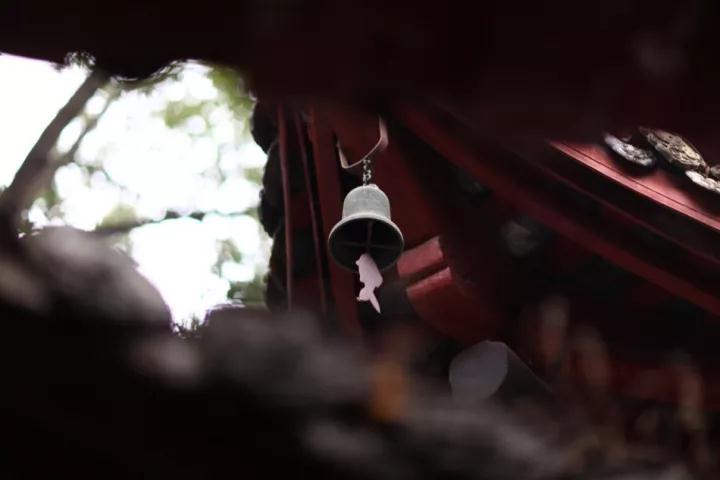 念佛要养成有定课的习惯 念佛要养成有定课的习惯