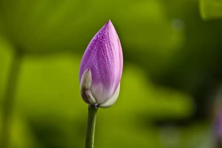 ӡ�ⷨʦ��һ���ųɷ����࣬�ο���ҵ��