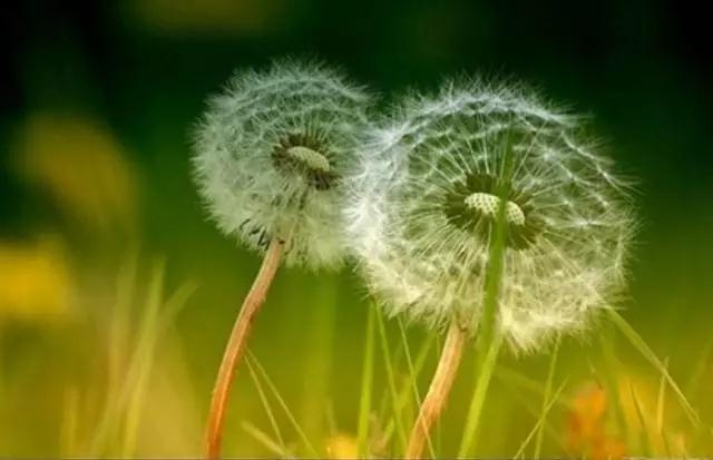 ����ͣ��������_���ʧ����δ��~