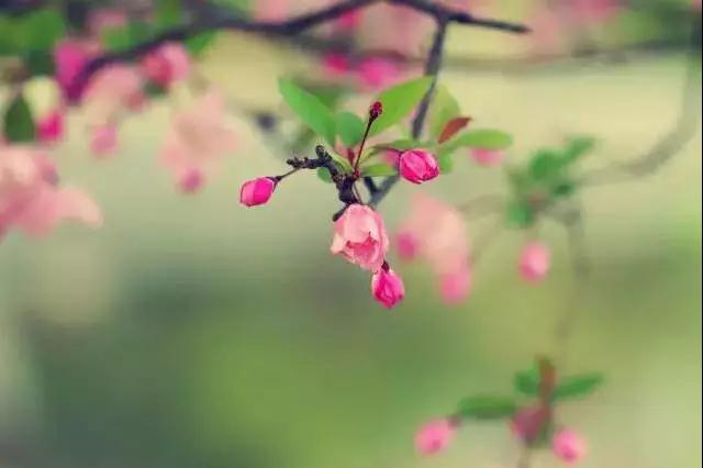 佛法看世间:爱情的智慧~ 佛法看世间:爱情的智慧~