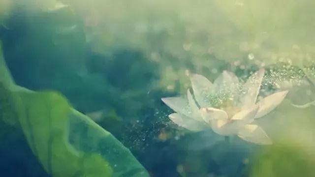 Ϊʲôһ��������ܶࣿ