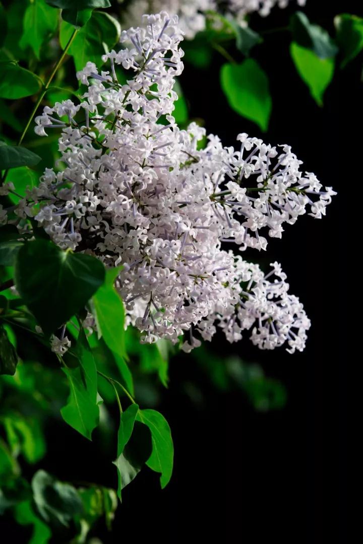 �����ڳ������֮�⣬Ϊ�λ���Ҫ�߱��ǻ۵Ĺ���?