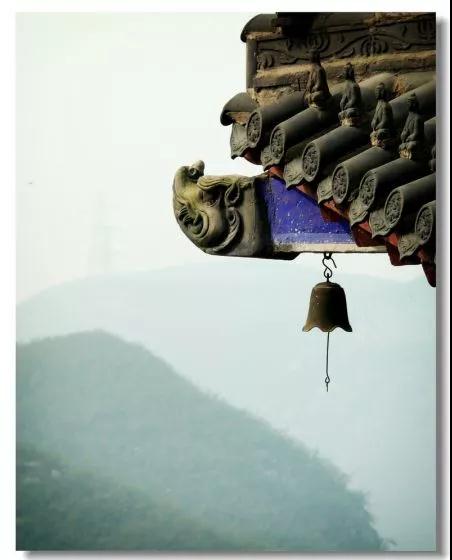 修净土的人不要忽略发愿 修净土的人不要忽略发愿