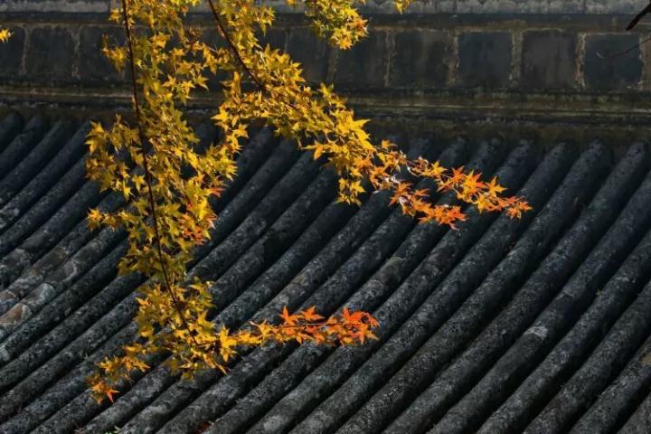 把佛号定位成唯一的救拔者 把佛号定位成唯一的救拔者