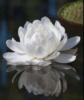 ���ڹ���֮����ǳ�����