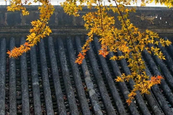 ӡ�ⷨʦ���𷨴��޲�����ϸ�޲���