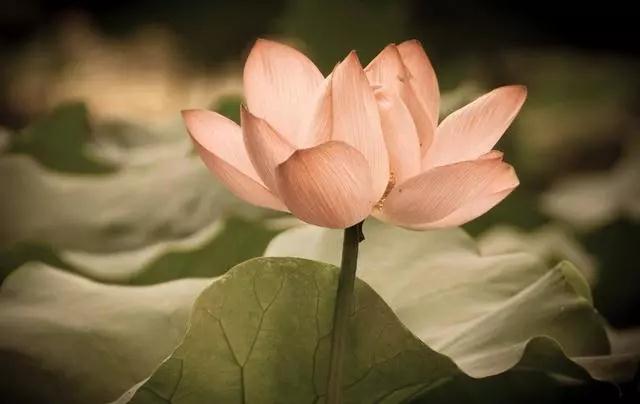 �����羵������_ʱʱ����ĪȾ��