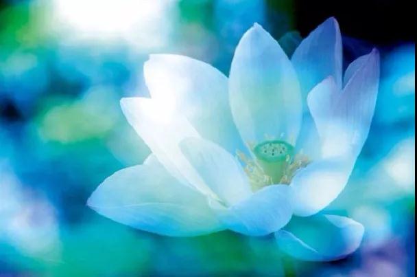 �˲���ǵ��εĿ�ʼ��ֻ��ͻȻ�������ξ���~