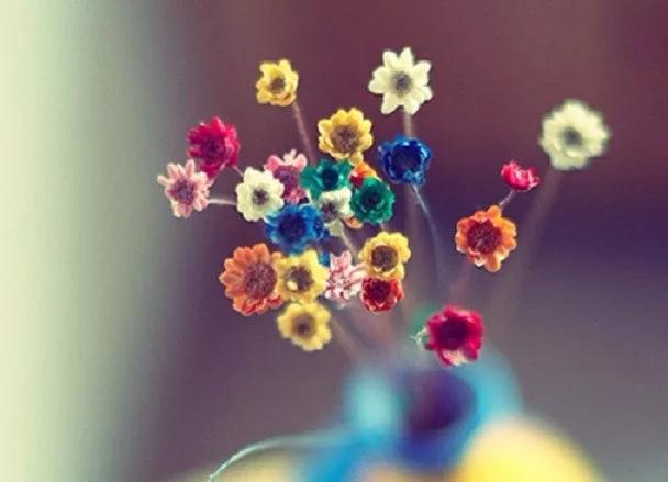 ��ֻ�ܺú�����_�������а��ţ�