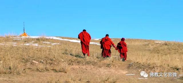 �ຣ���µ��ϵĿ�����ʦ�ǣ�һ��ֻ��һ�ΰ���ͽ��������Сʱ�ɰ�����