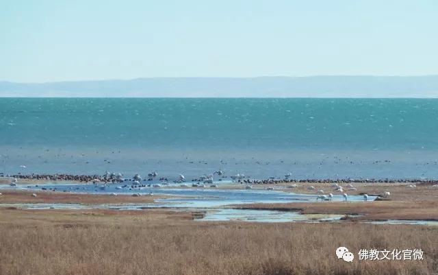 �ຣ���µ��ϵĿ�����ʦ�ǣ�һ��ֻ��һ�ΰ���ͽ��������Сʱ�ɰ�����