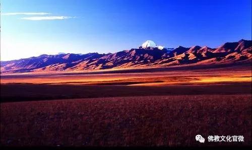 �ຣ���µ��ϵĿ�����ʦ�ǣ�һ��ֻ��һ�ΰ���ͽ��������Сʱ�ɰ�����