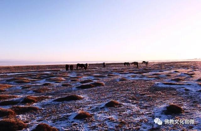 �ຣ���µ��ϵĿ�����ʦ�ǣ�һ��ֻ��һ�ΰ���ͽ��������Сʱ�ɰ�����