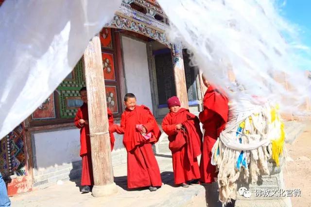 �ຣ���µ��ϵĿ�����ʦ�ǣ�һ��ֻ��һ�ΰ���ͽ��������Сʱ�ɰ�����