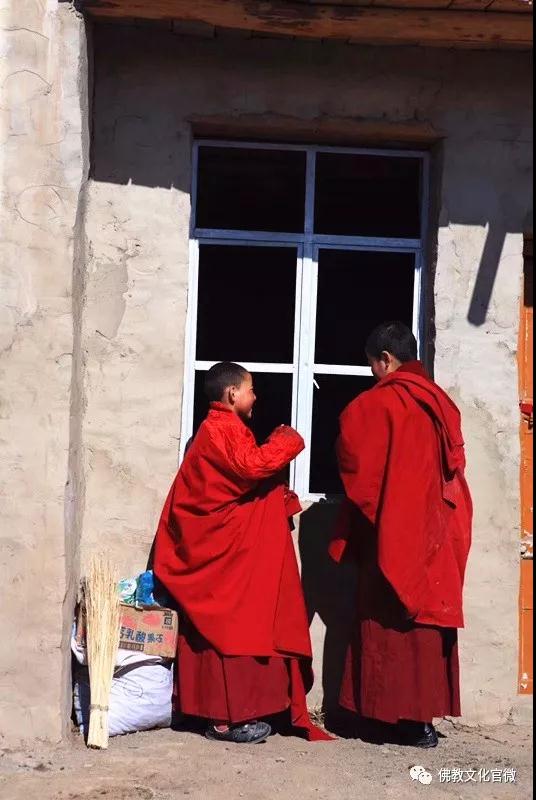 �ຣ���µ��ϵĿ�����ʦ�ǣ�һ��ֻ��һ�ΰ���ͽ��������Сʱ�ɰ�����