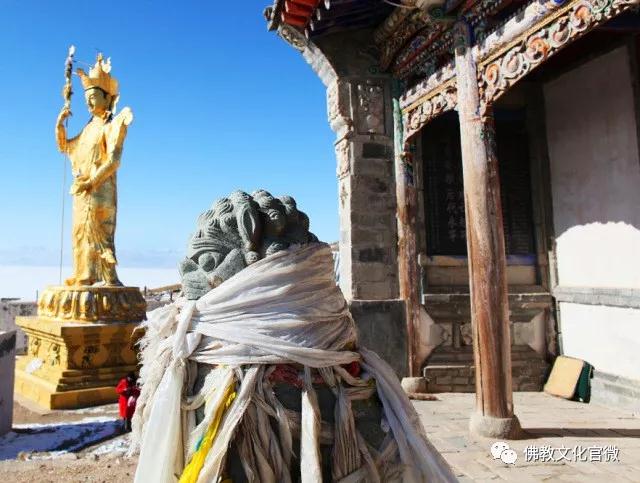 �ຣ���µ��ϵĿ�����ʦ�ǣ�һ��ֻ��һ�ΰ���ͽ��������Сʱ�ɰ�����