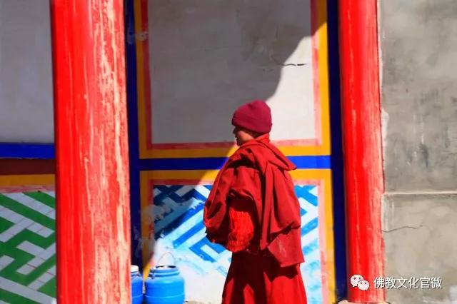 �ຣ���µ��ϵĿ�����ʦ�ǣ�һ��ֻ��һ�ΰ���ͽ��������Сʱ�ɰ�����