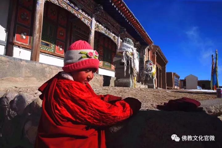 �ຣ���µ��ϵĿ�����ʦ�ǣ�һ��ֻ��һ�ΰ���ͽ��������Сʱ�ɰ�����