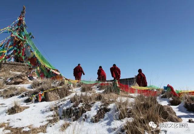 �ຣ���µ��ϵĿ�����ʦ�ǣ�һ��ֻ��һ�ΰ���ͽ��������Сʱ�ɰ�����