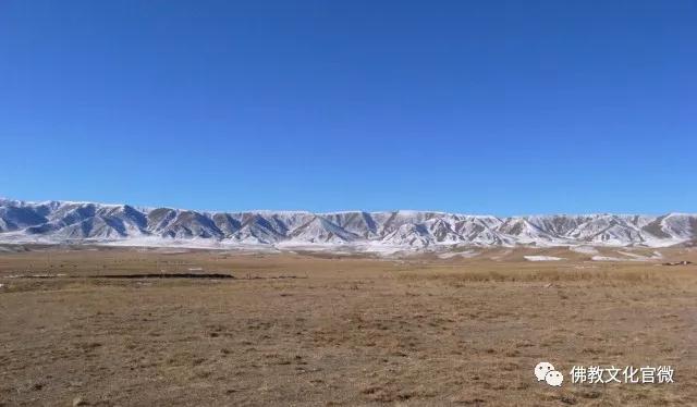 �ຣ���µ��ϵĿ�����ʦ�ǣ�һ��ֻ��һ�ΰ���ͽ��������Сʱ�ɰ�����