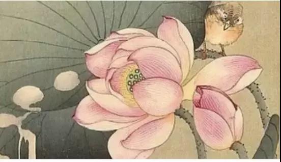 �������������Щ����ı仯����