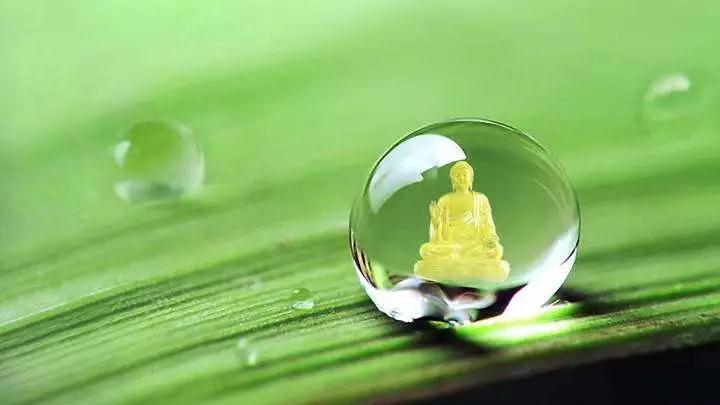 ÿ����ݷ�Ϊ�λ��Ƿ��գ�