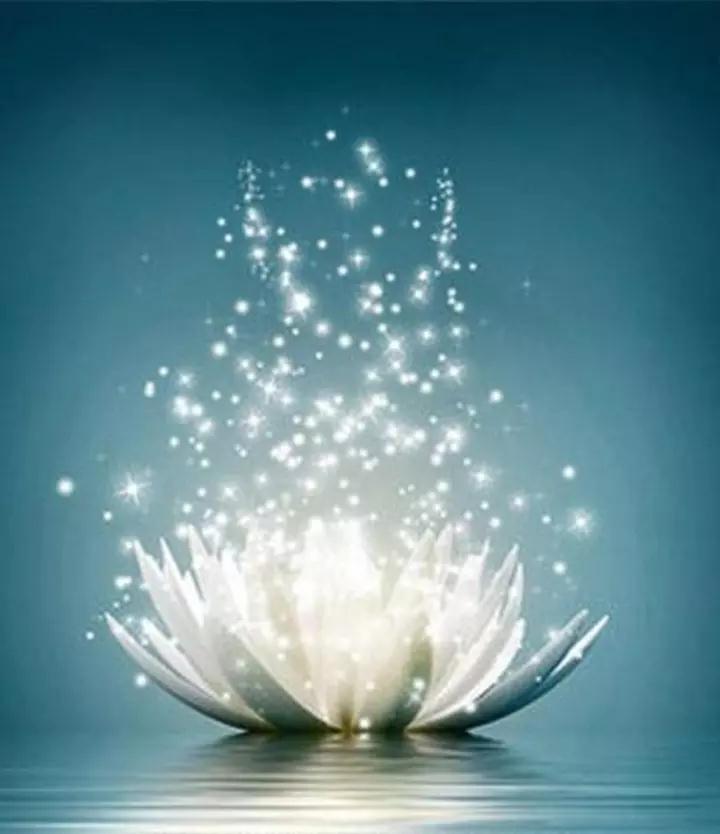 ӡ�ⷨʦ�����軳�ɼ�������֮ʵ