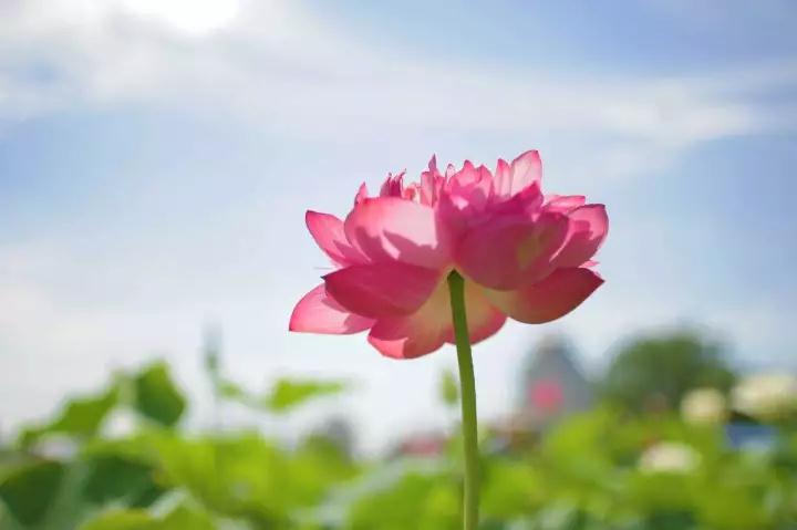 ӡ�ⷨʦ�����ž��������������ѳ�����