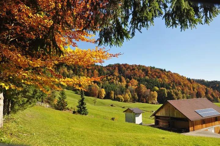 �ӽ�_|_һλ��Ѯ���˶Լ����������ĸ����Ƿ��𺳵��㣿