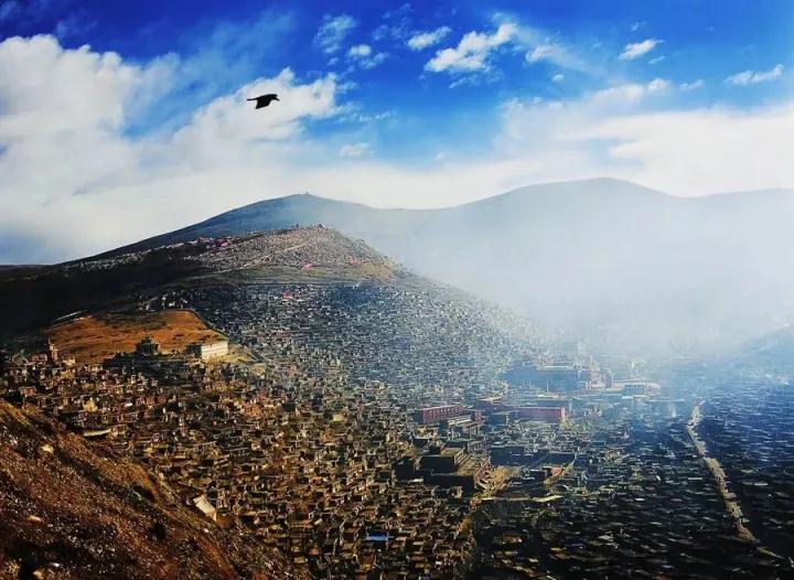 �����������˭�����ҵ��������������һ������ڵ�����