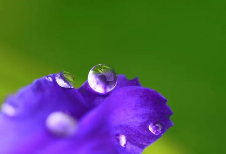 ӡ�ⷨʦ����������֮������磬��������