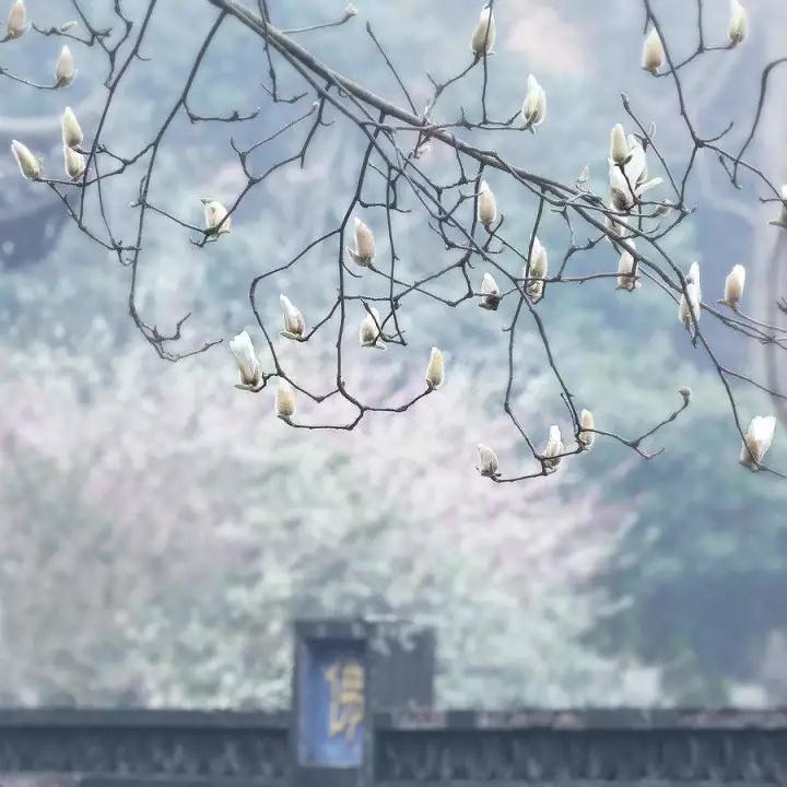 �꣡��׬�����Ͷ�ʽݾ���һ���˲�������