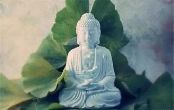 �����ۿ����䡿����ѧ���ܲ���ȡ������ѧ��