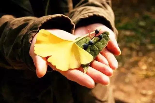 不要把烦恼当宝贝! 不要把烦恼当宝贝!