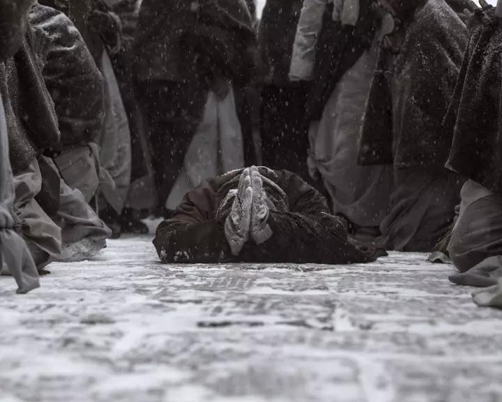 ��֪�����������У������Ӧ�������ԭ����