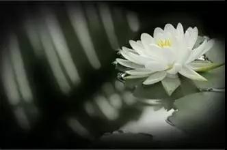 �󰲷�ʦ�������β���ר�ģ�