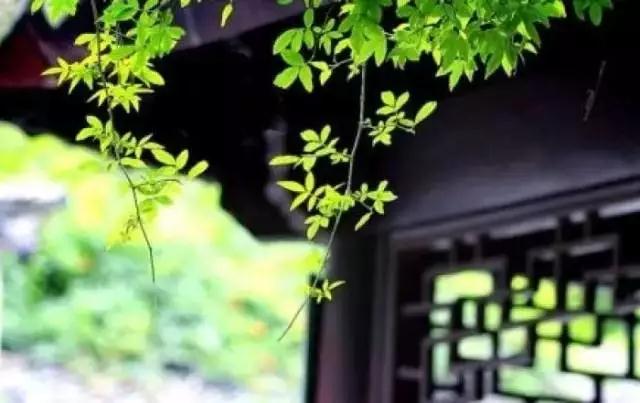 ʥ�Ϸ�ʦ�����ĵ���ϰ